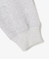 The University. ビッグラインロゴ スウェットパーカー GRAY