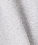 The University. ビッグラインロゴ スウェットパーカー GRAY